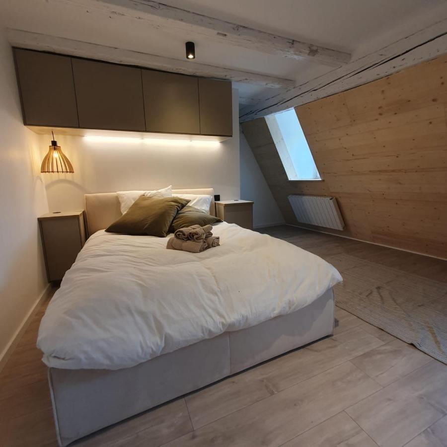 Les Appartements Hyper Centre Strasbourg Exterior photo